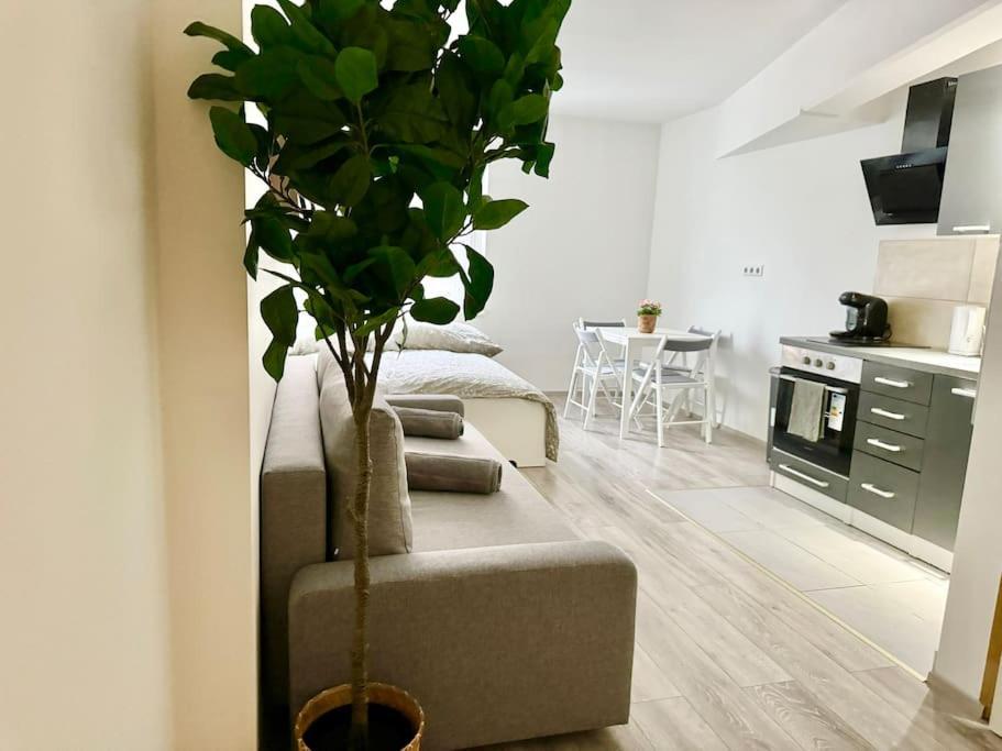 Stylish Schonbrunn Apartments - Free Underground Parking 维也纳 外观 照片