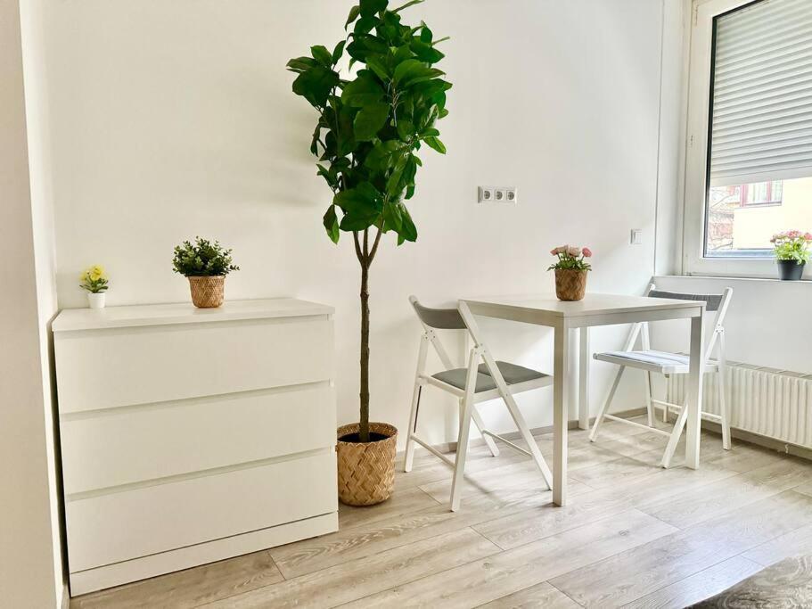 Stylish Schonbrunn Apartments - Free Underground Parking 维也纳 外观 照片